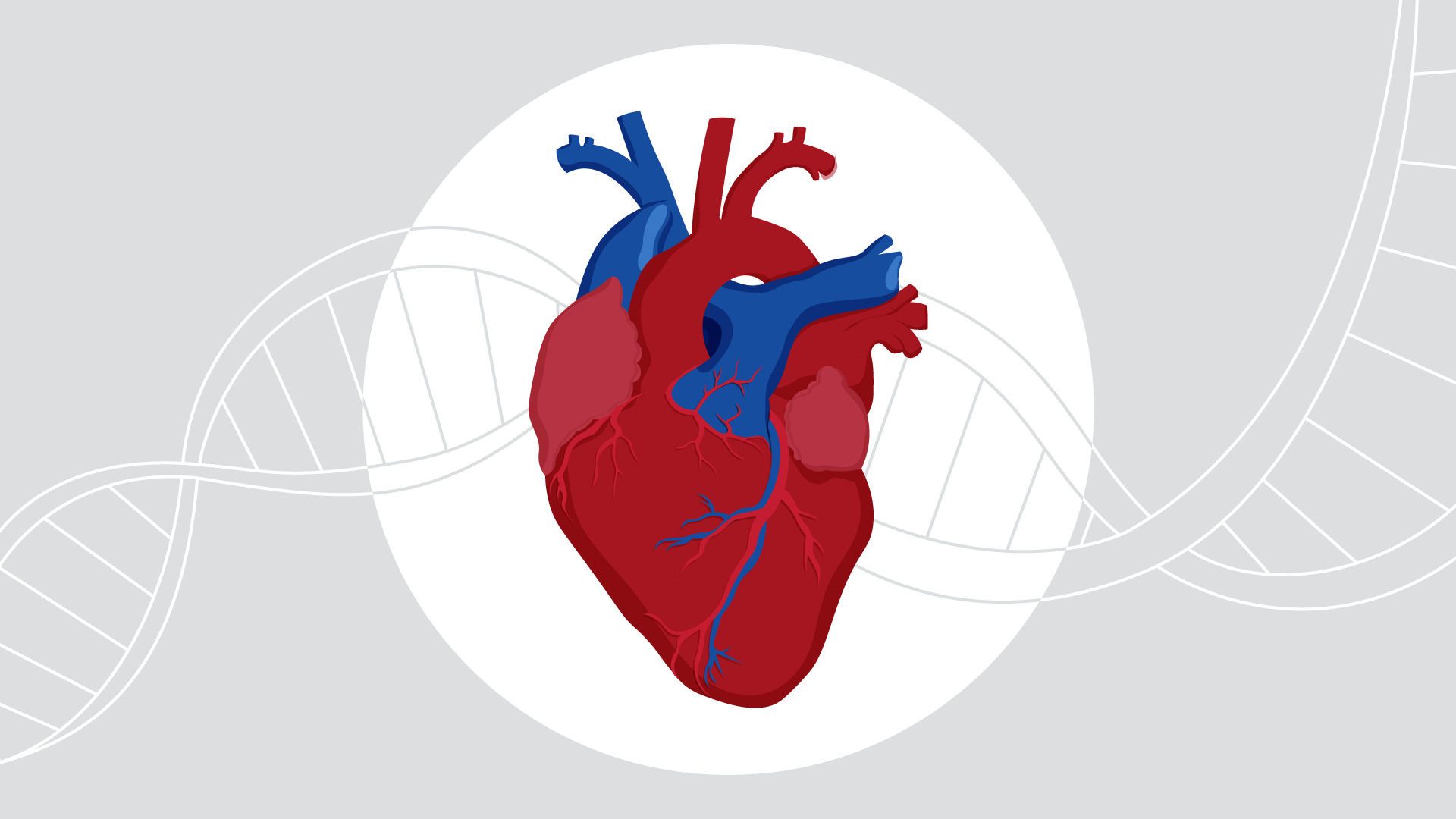 Doenças cardiovasculares: como manter o coração saudável