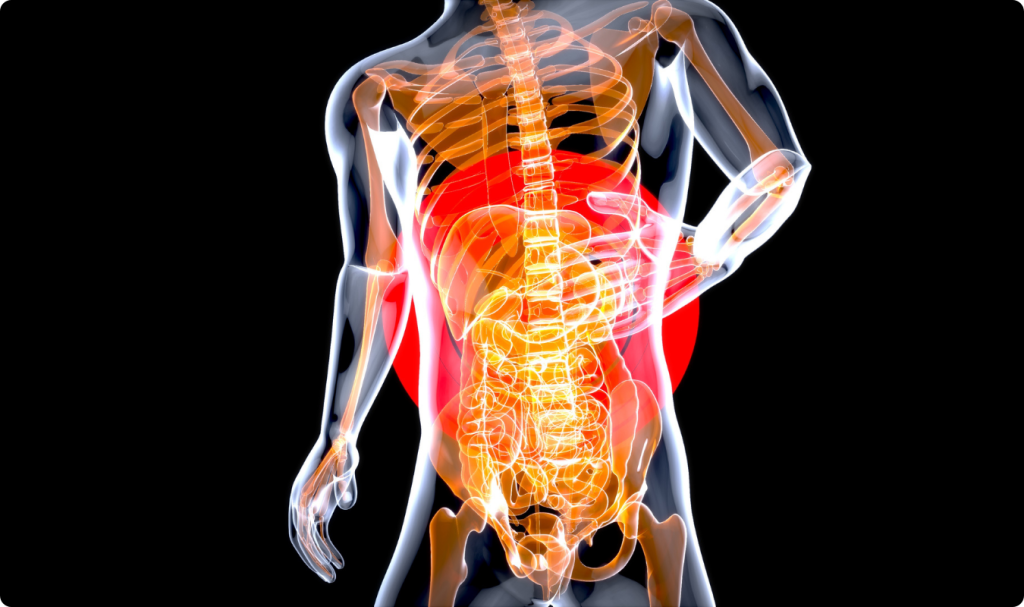 Ilustração médica em 3D de um tronco humano transparente, exibindo o esqueleto e os órgãos internos em tons de laranja e dourado sobre um fundo preto. Há um grande círculo vermelho brilhante centralizado na região abdominal, simbolizando o foco de uma dor aguda ou inflamação no sistema digestório. A silhueta humana está de pé, com uma das mãos pressionando a lateral do abdómen.